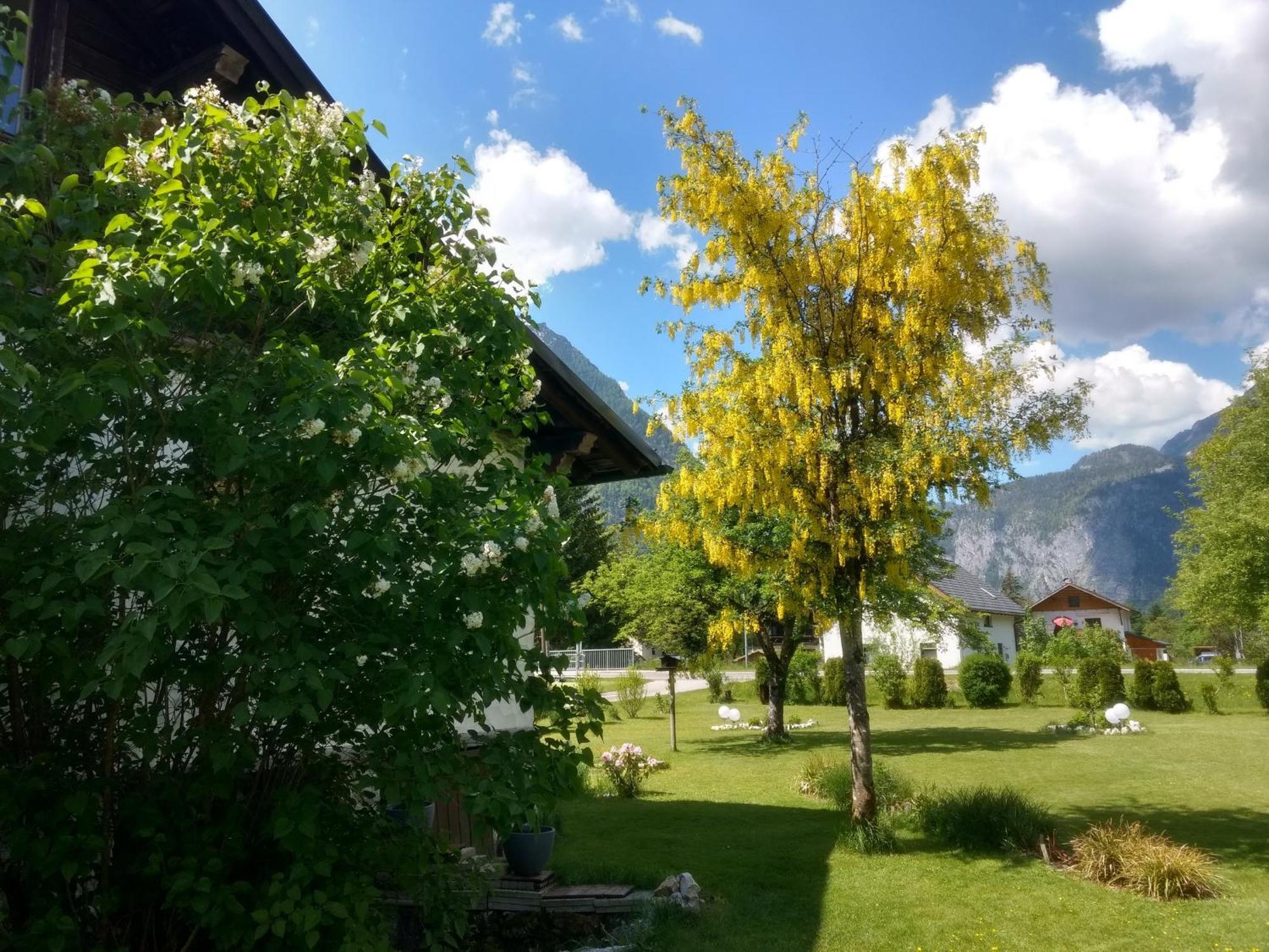 Ferienwohnung Haus Alpenblick Obertraun Exterior foto