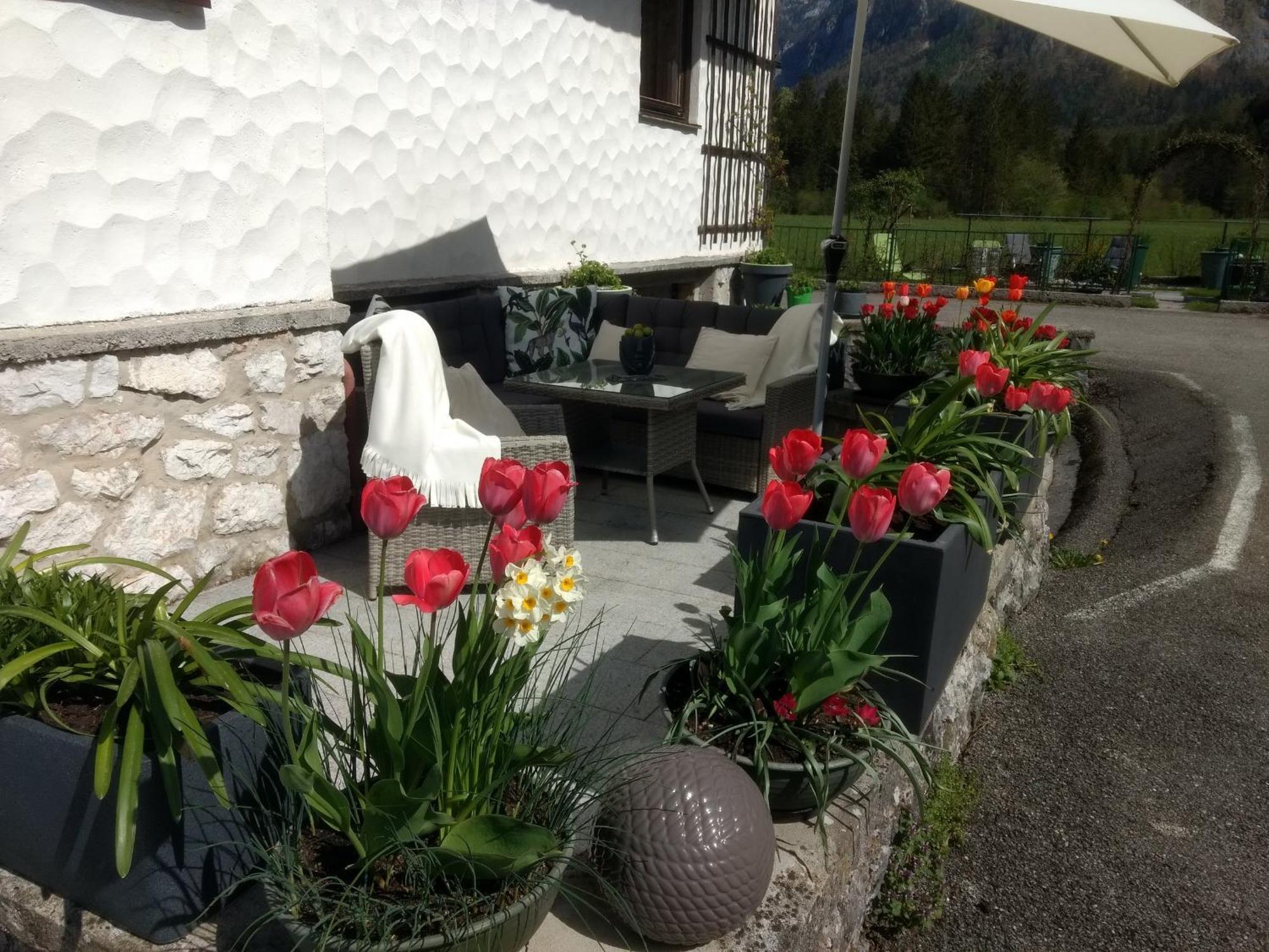 Ferienwohnung Haus Alpenblick Obertraun Exterior foto