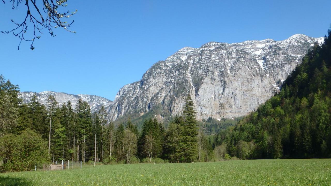 Ferienwohnung Haus Alpenblick Obertraun Exterior foto